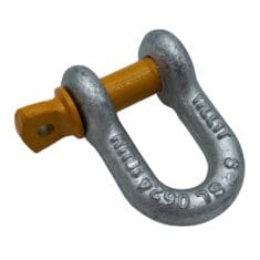 Dee Shackle